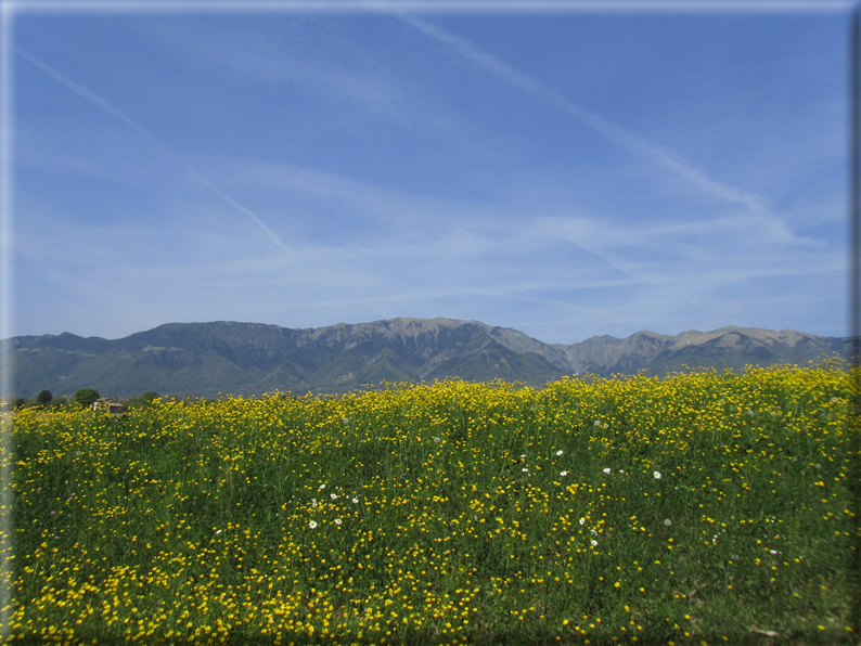 foto Paesaggi Collinari in Primavera